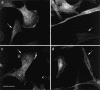 Figure  7