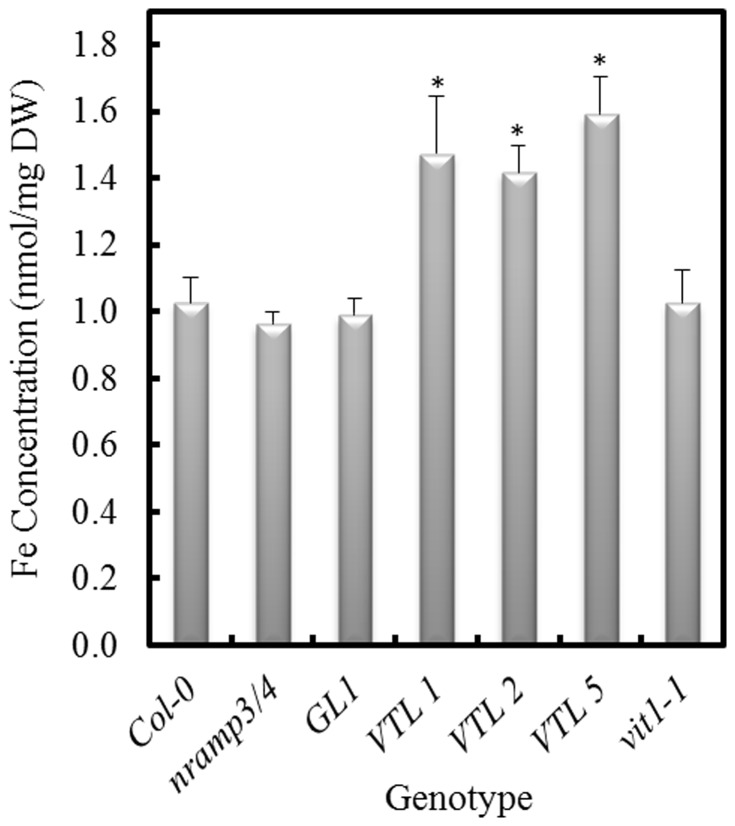 Figure 5