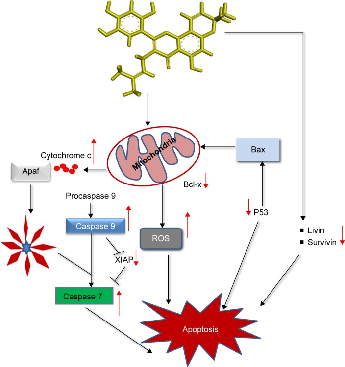 Figure 9