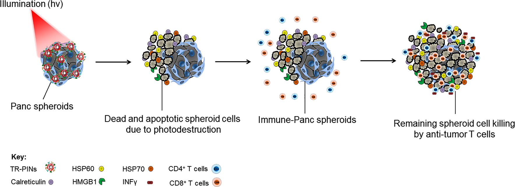 Figure 1: