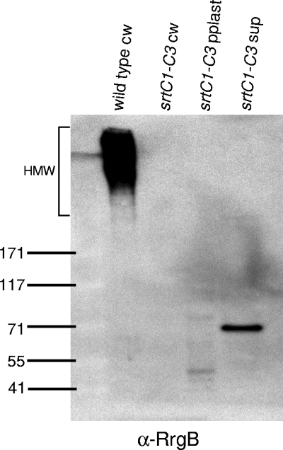 FIG. 5.