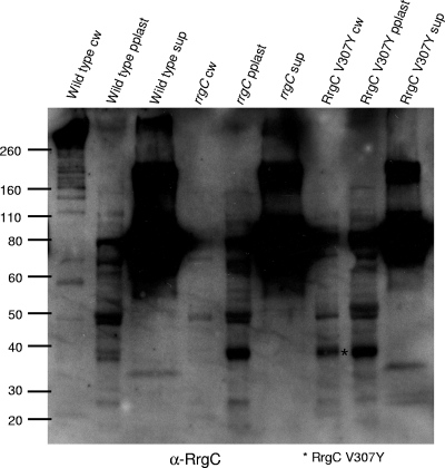 FIG. 8.