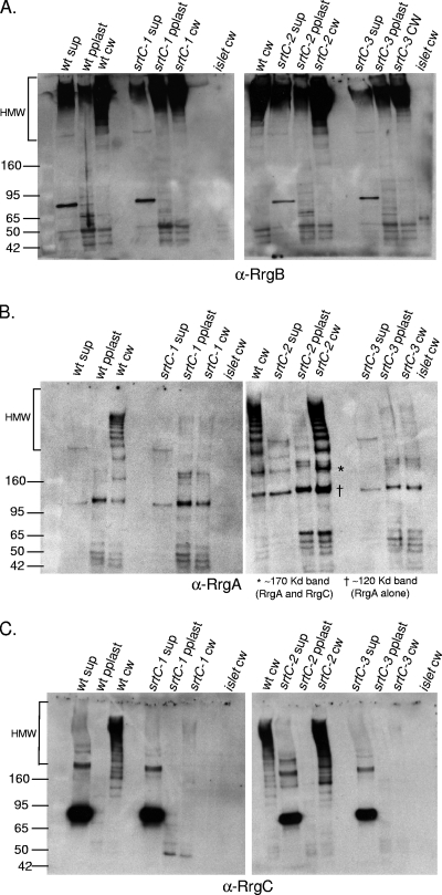 FIG. 6.