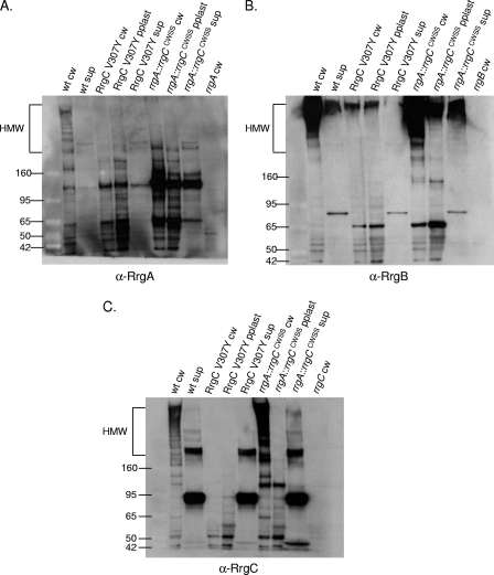 FIG. 7.