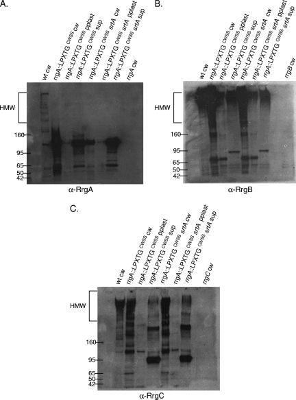 FIG. 9.