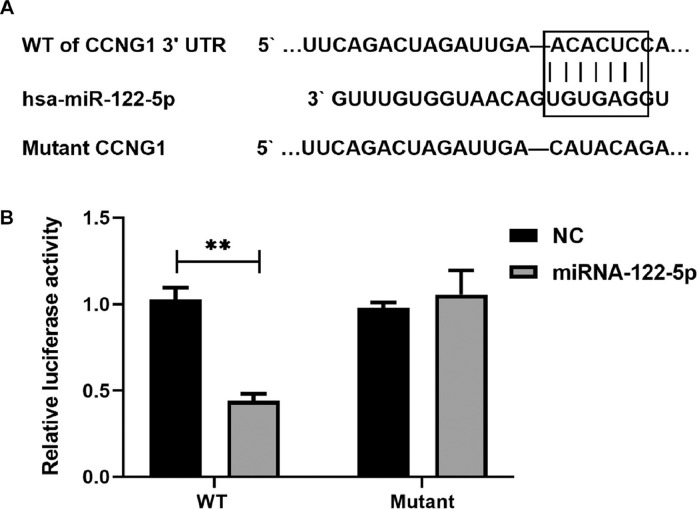 Fig 10