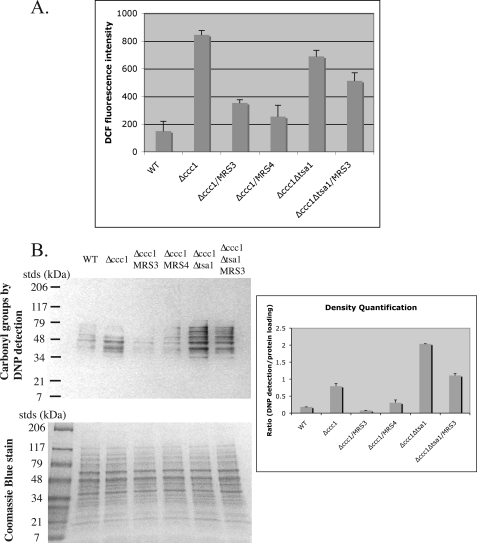 FIGURE 5.