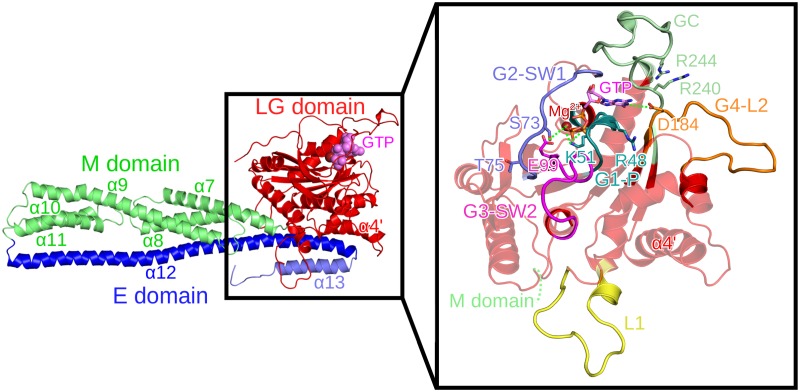 Fig 1