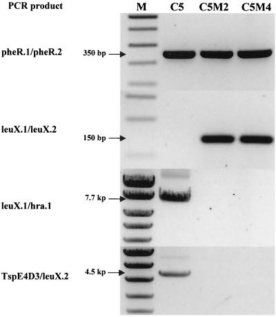 FIG. 2.