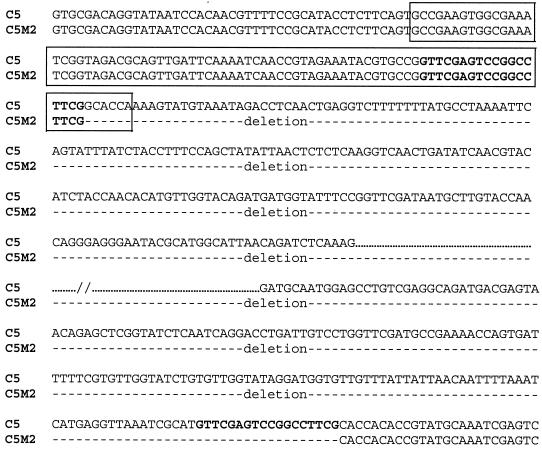 FIG. 3.