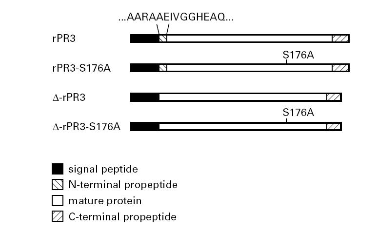 Fig.1