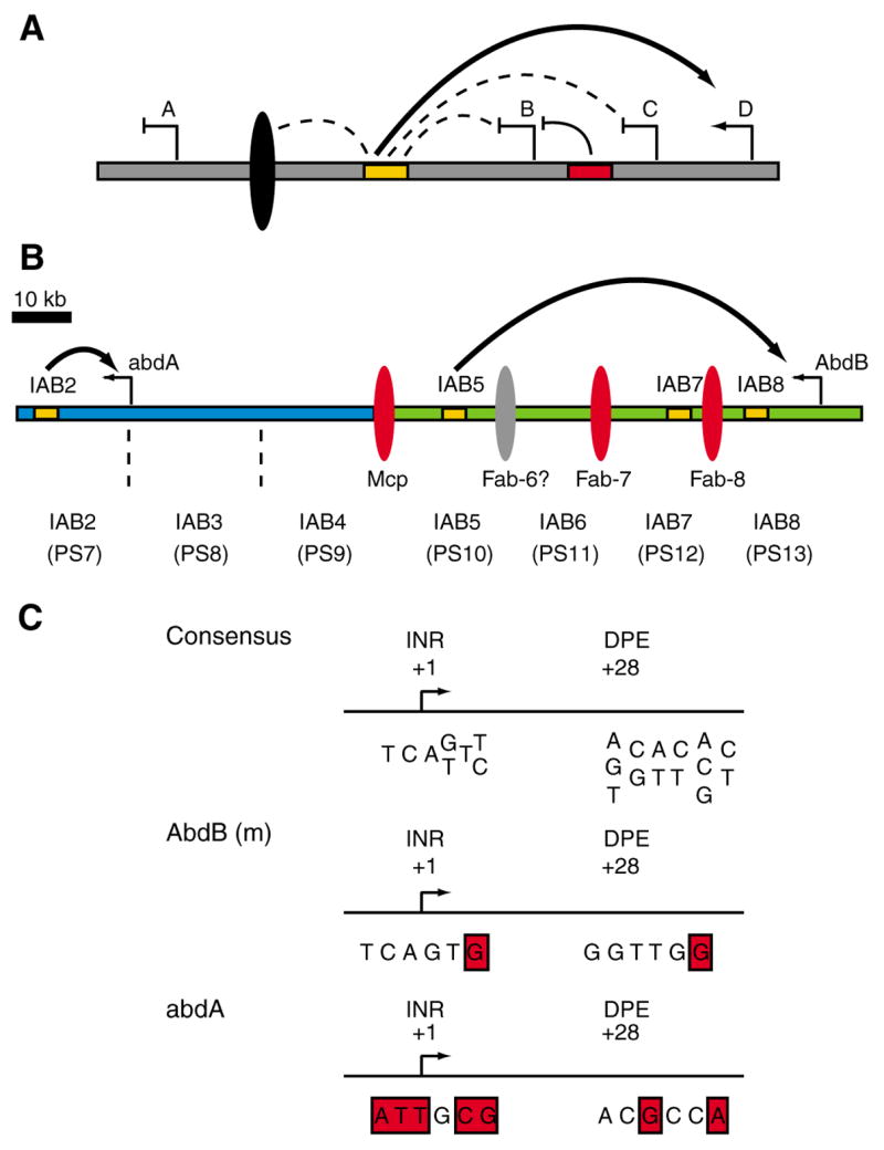 Fig. 1