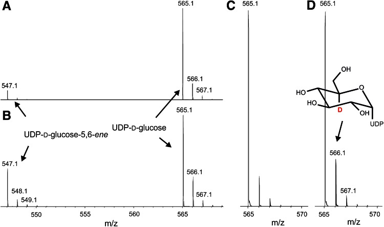 Fig. 7