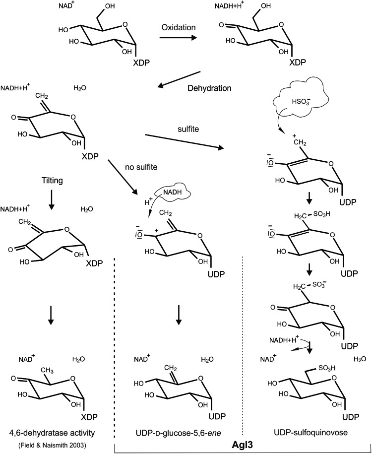 Fig. 9