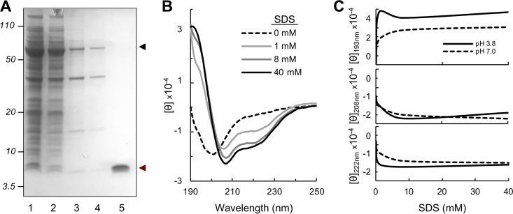 FIG 2