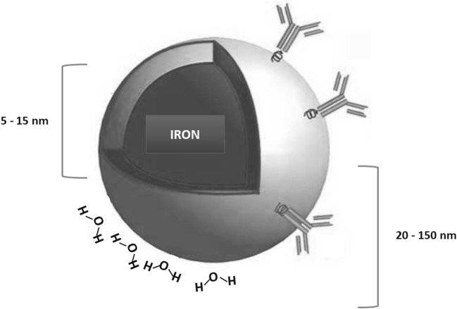 Fig. 1