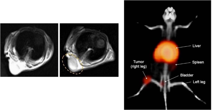 Fig. 4