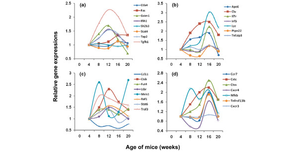 Figure 5