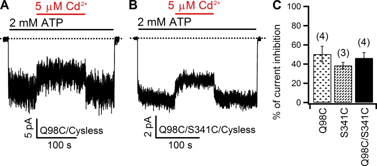 Figure 5.