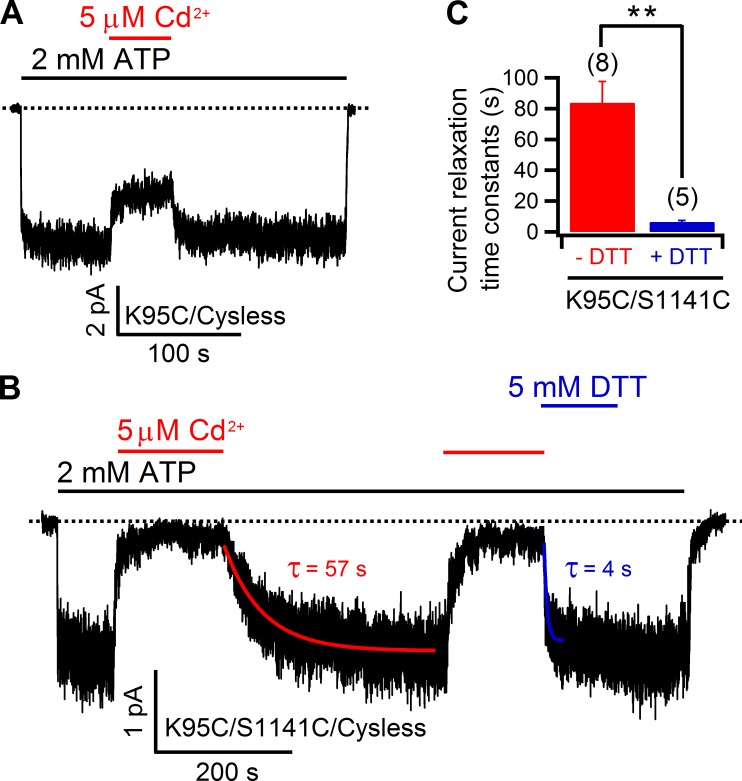 Figure 11.