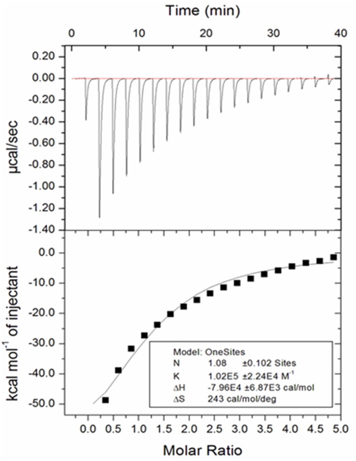 FIG 6