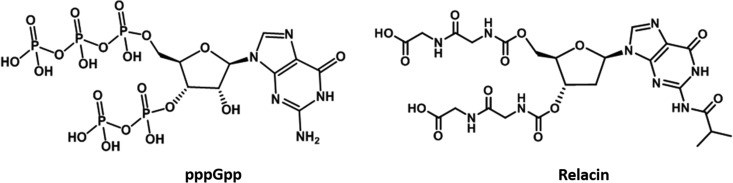 FIG 1