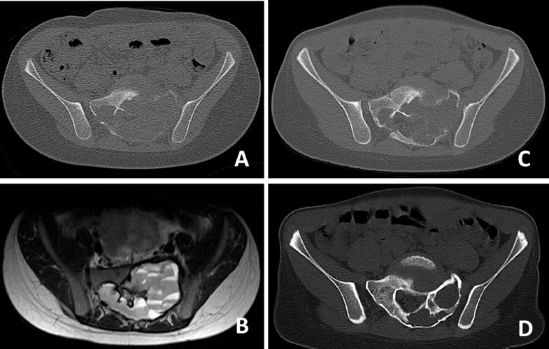 Fig 6