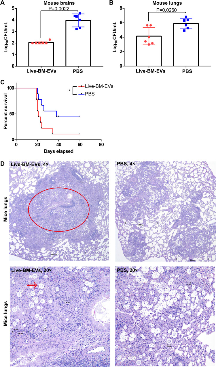 FIG 1