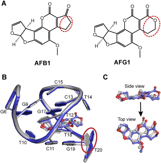 Figure 5.