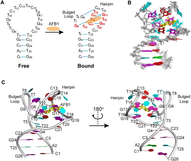 Figure 3.