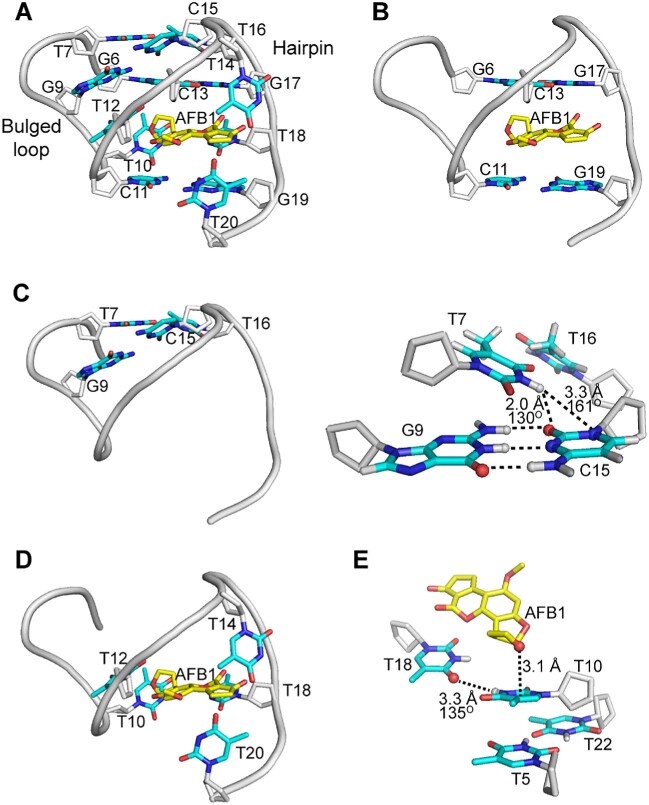 Figure 4.