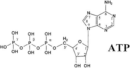 graphic file with name nihms-1958400-t0006.jpg