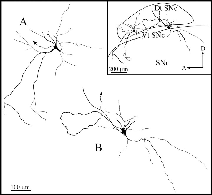 Fig. 11.