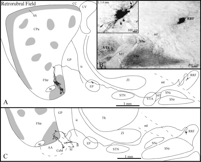 Fig. 10.