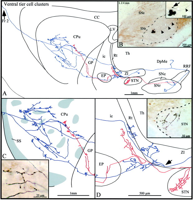 Fig. 7.