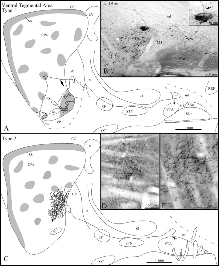 Fig. 9.