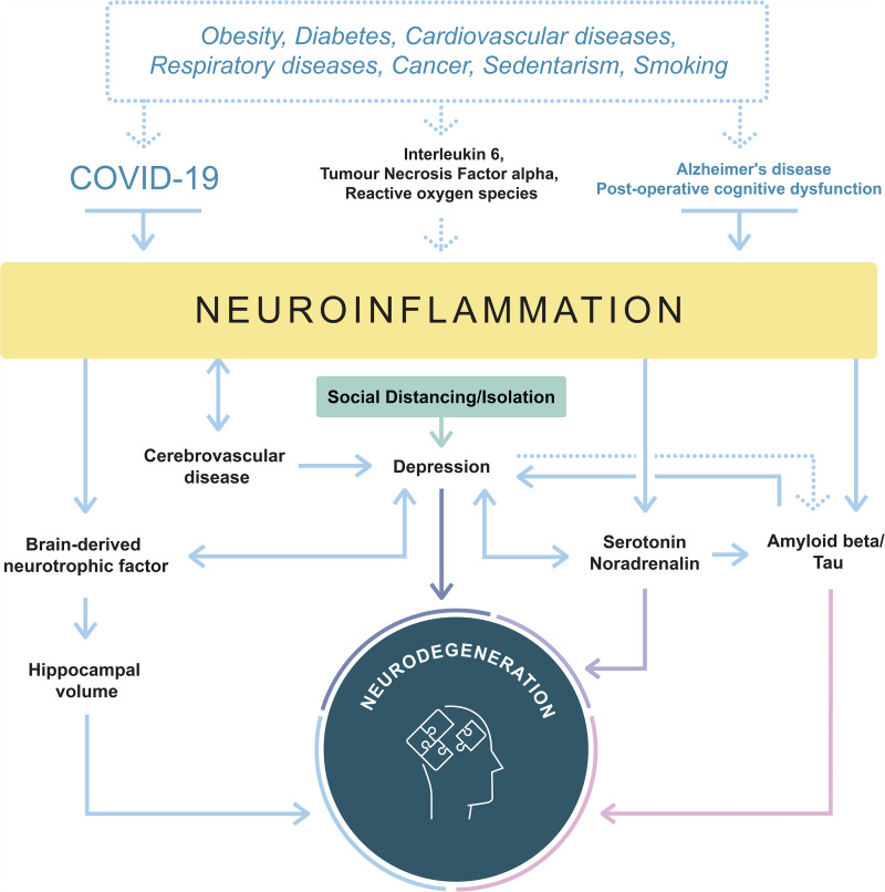 Graphical Abstract