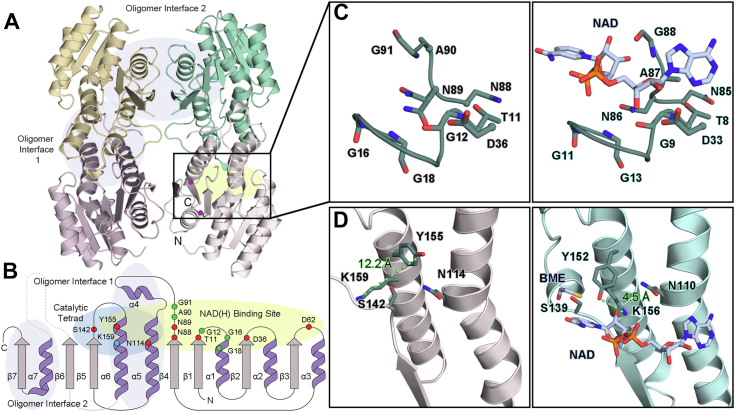 Figure 2