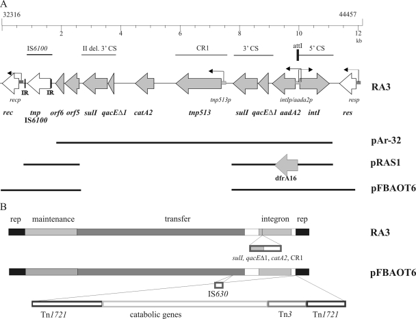 FIG. 8.