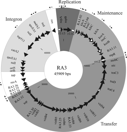 FIG. 2.