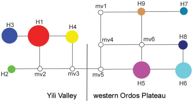 Figure 2