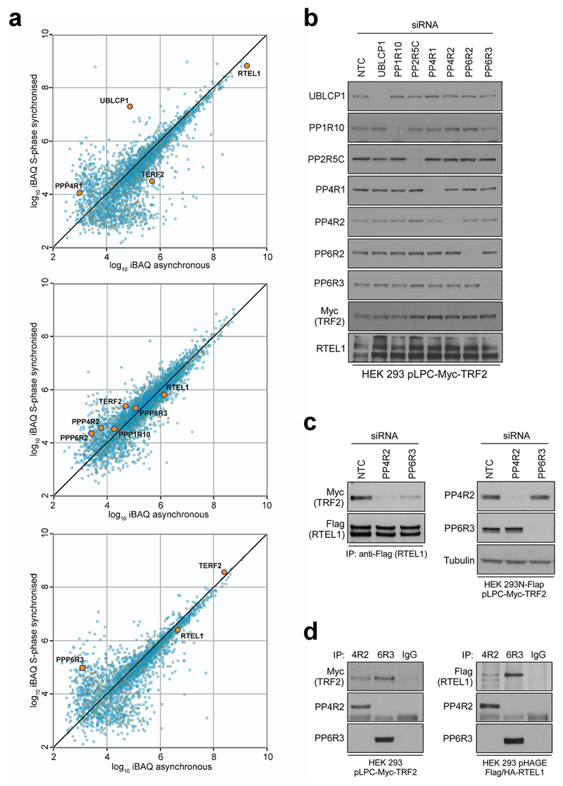 Extended Data Figure 4