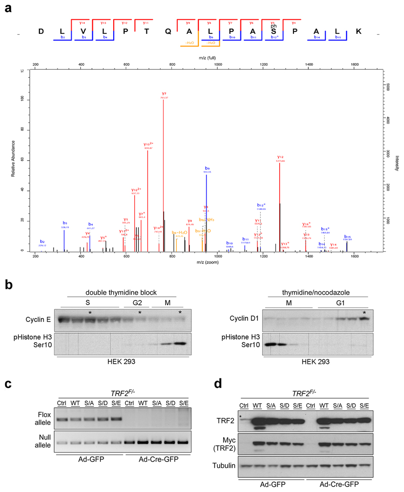 Extended Data Figure 1