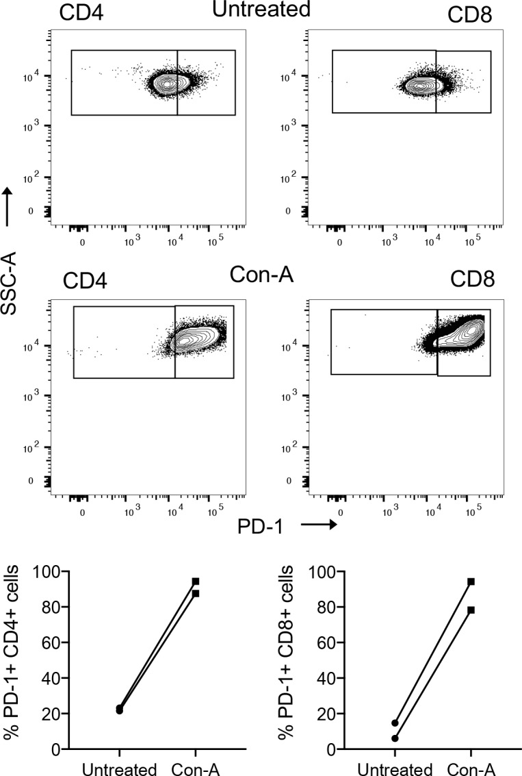 Fig 5