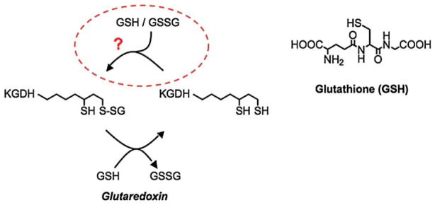 Scheme 3