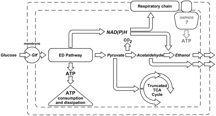 Fig 1