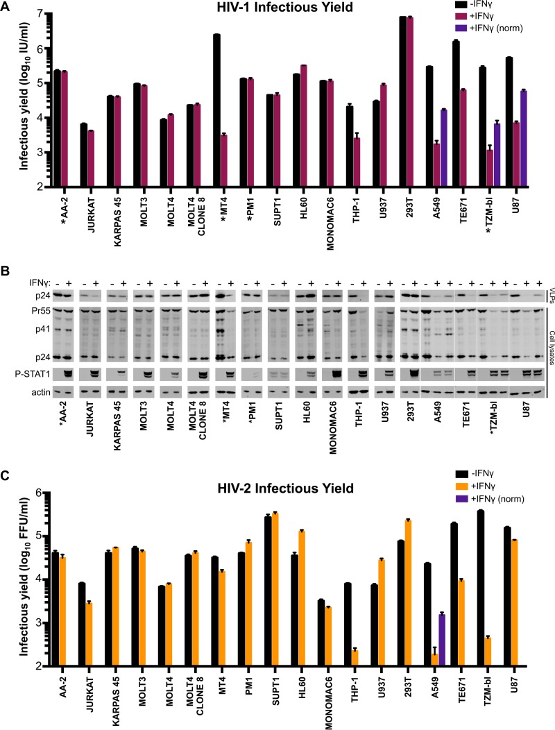 FIG 3