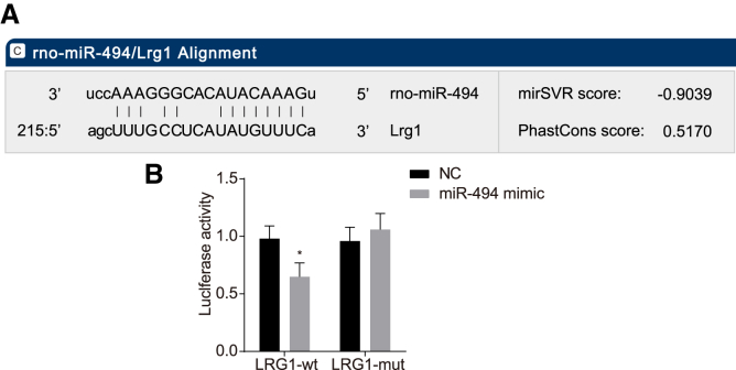 Figure 6