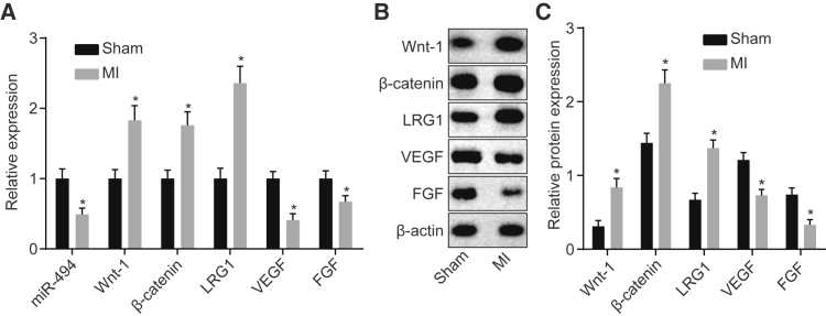 Figure 7