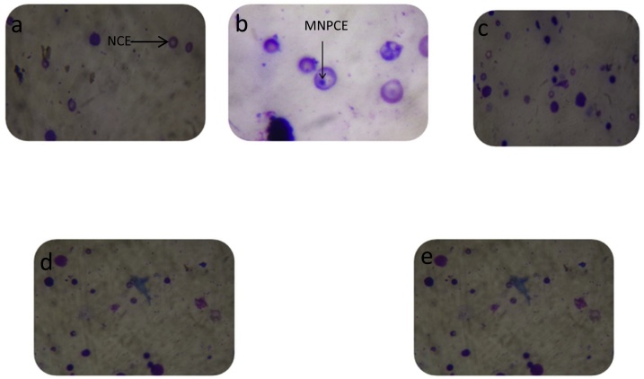 Fig. 10